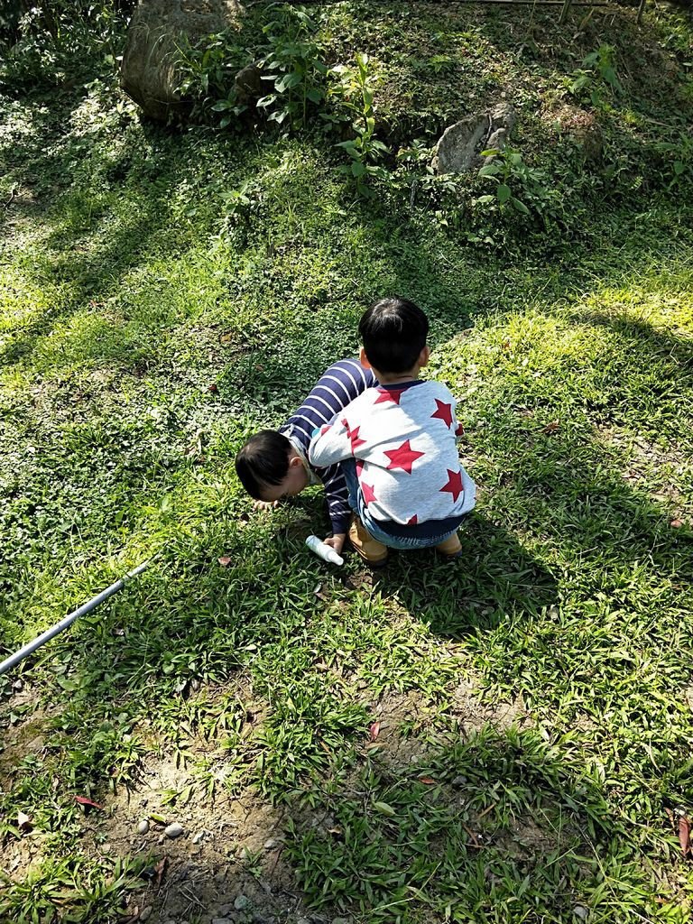 IMG20191026100801.jpg