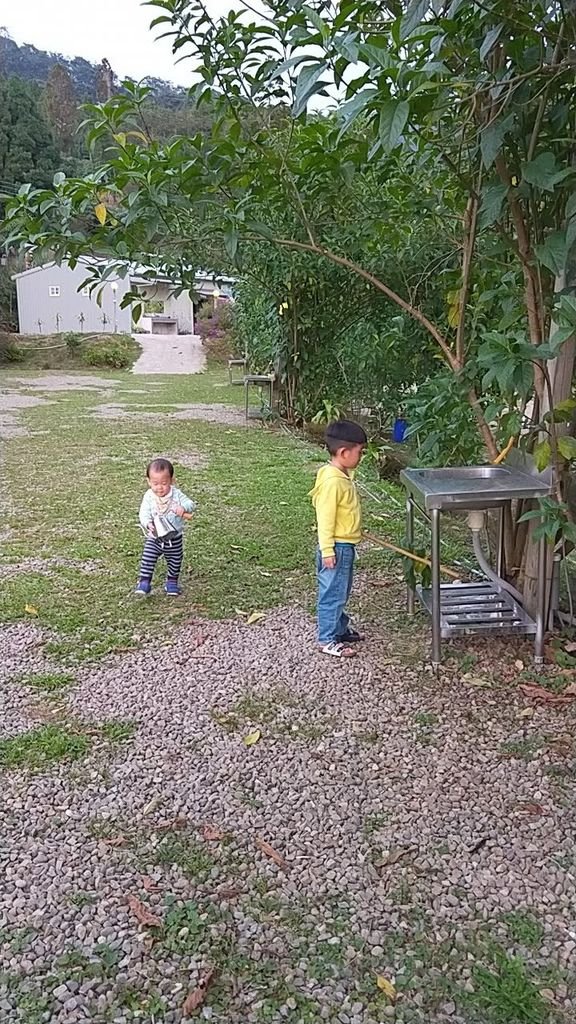 IMG20191026171618.jpg