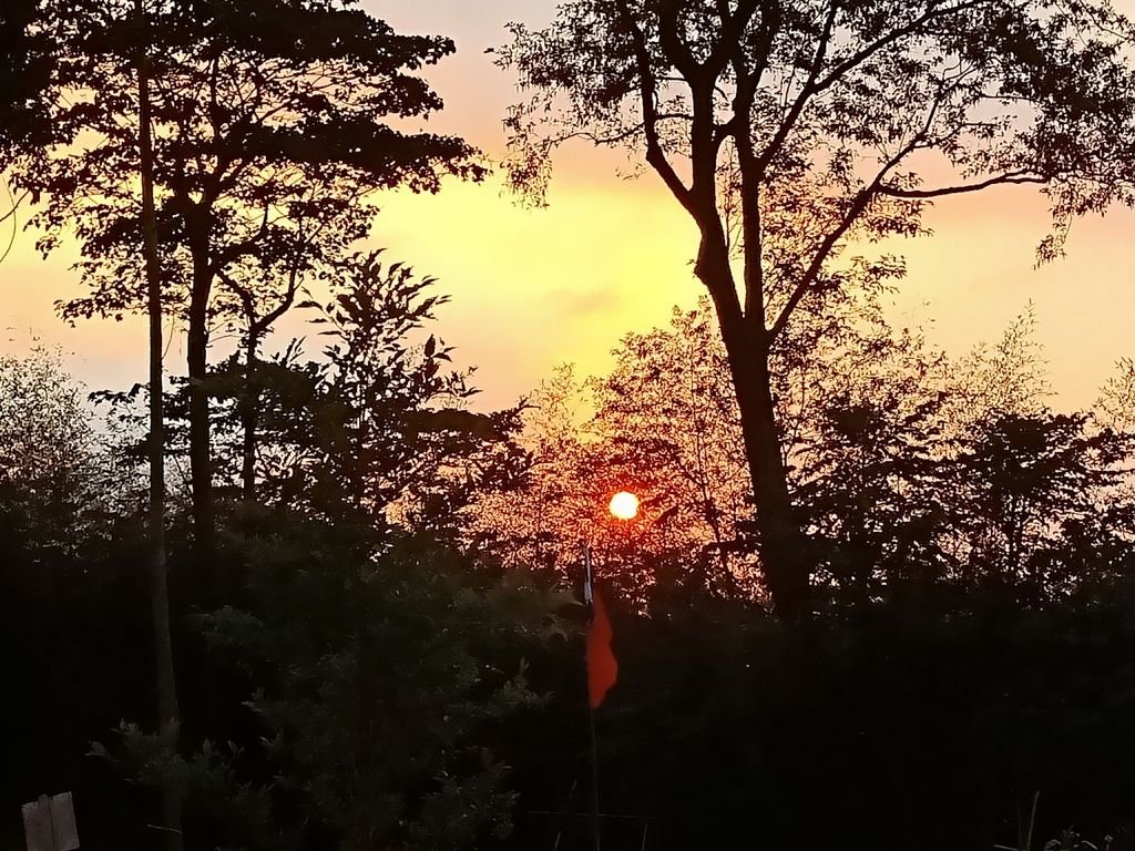 IMG20191026170624.jpg