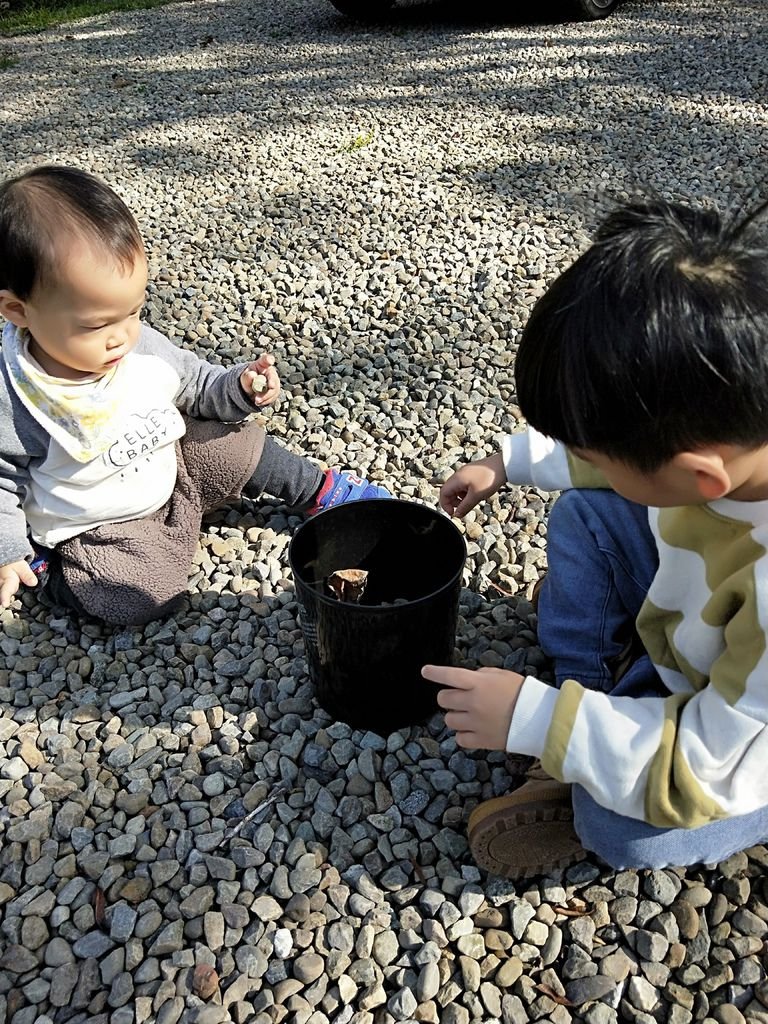 IMG20191116093624.jpg
