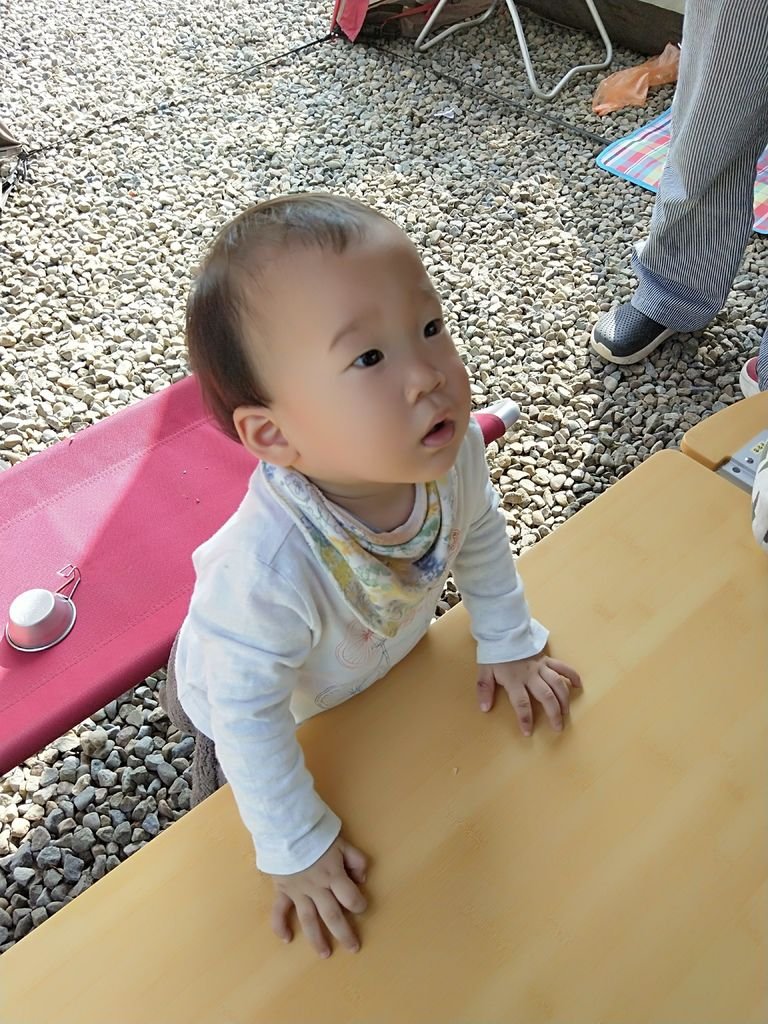 IMG20191116140009.jpg