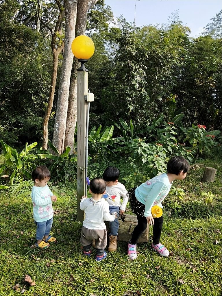IMG20191116140230.jpg