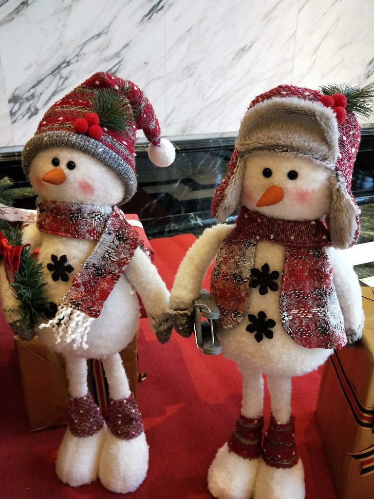 IMG20211115080951.jpg