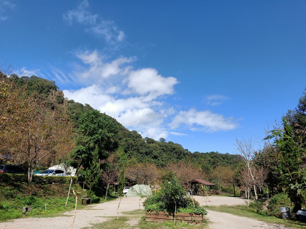 [76露] 。鹿林道。  8Y6M17D 5Y4M24D 2