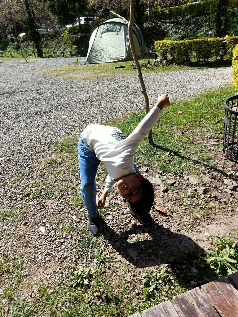 [76露] 。鹿林道。  8Y6M17D 5Y4M24D 2