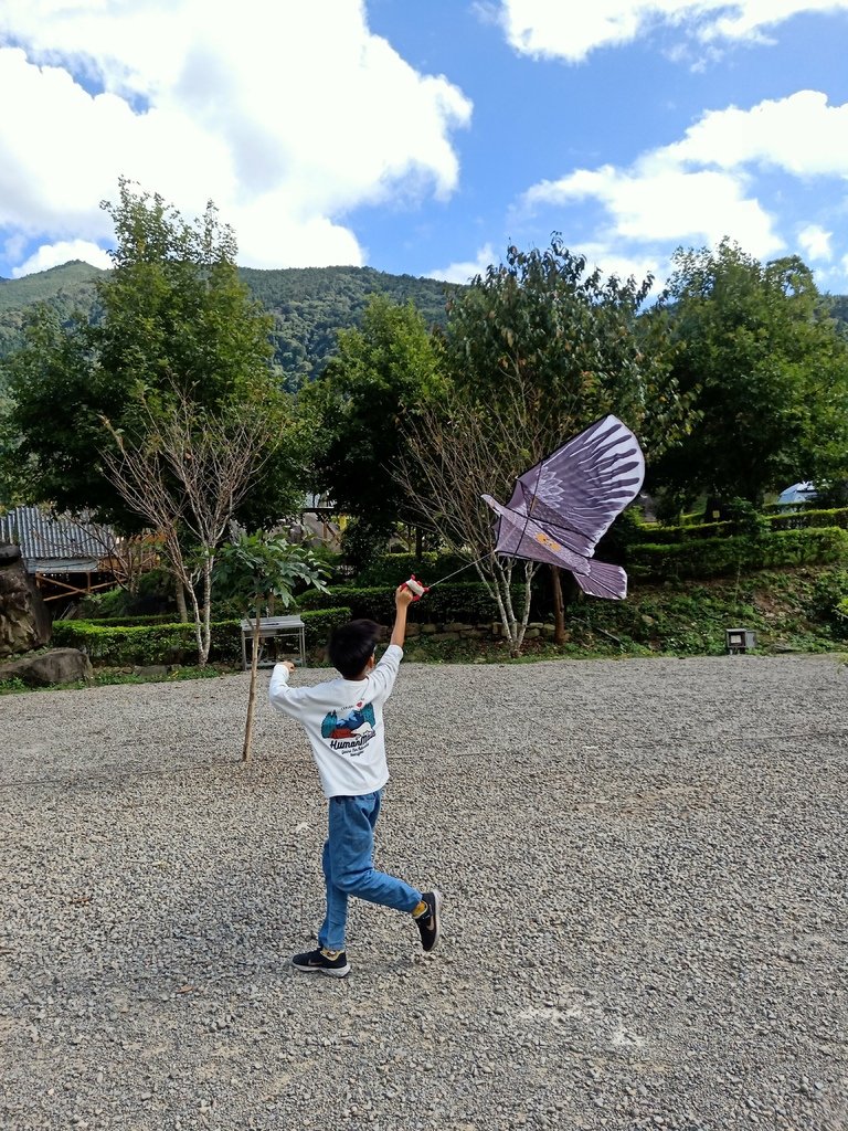 [76露] 。鹿林道。  8Y6M17D 5Y4M24D 2