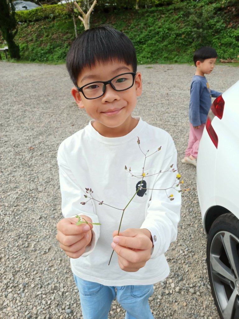 [76露] 。鹿林道。  8Y6M17D 5Y4M24D 2