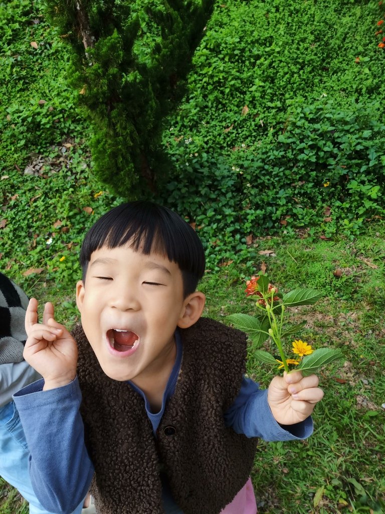 [76露] 。鹿林道。  8Y6M17D 5Y4M24D 2
