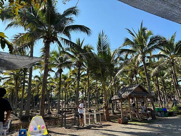 [清邁]Coconutn Market/JJ市集/Khlon