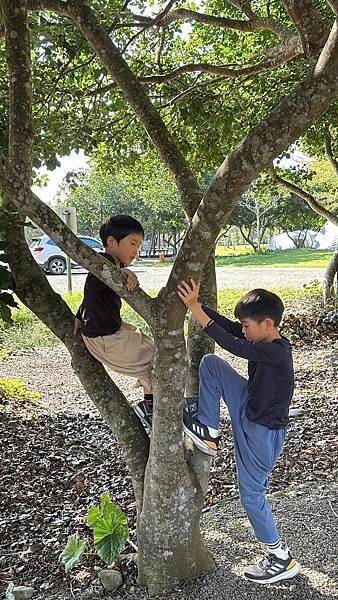 [81露]。三灣水漾森林。 好大的公園喔 9Y7M7D 6Y