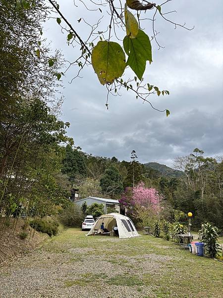 [84露]26訪 。高山寨 。 開學第一週好適合露營  9Y