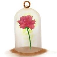 rose.jpg