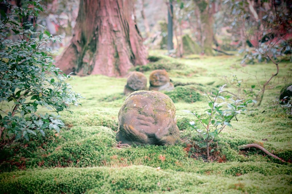 [左京區大原。三千院] 寧靜悠然的三千院。迷你枯山水，小地藏