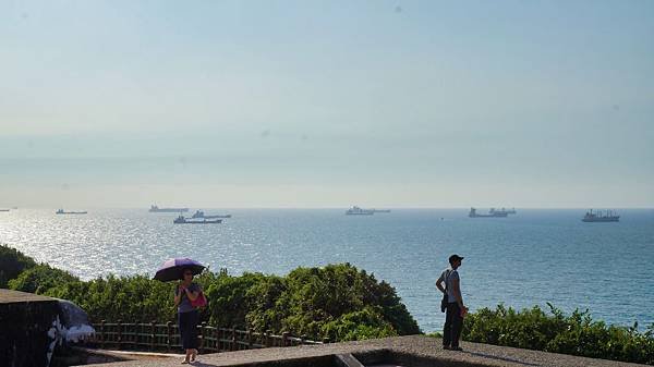 DSC02248.jpg
