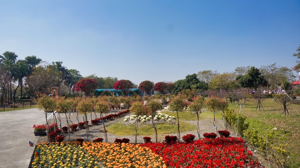 2025 花在彰化溪州公園