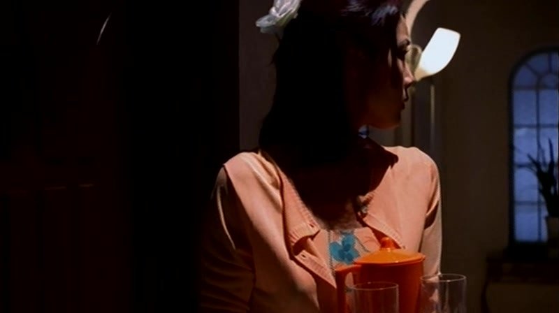 The.Trap.1997.XviD.AC3.CD1-WAF.avi_20130907_211341.296.jpg