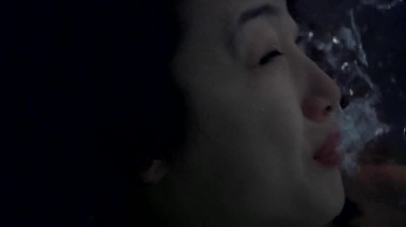 The.Trap.1997.XviD.AC3.CD2-WAF.avi_20130907_220610.765.jpg