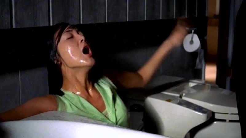 The.Trap.1997.XviD.AC3.CD2-WAF.avi_20130907_220547.156.jpg
