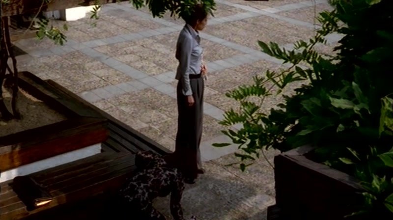 The.Trap.1997.XviD.AC3.CD2-WAF.avi_20130907_221224.625.jpg