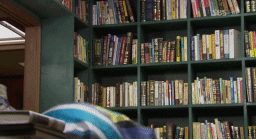 sl06_09[1].gif