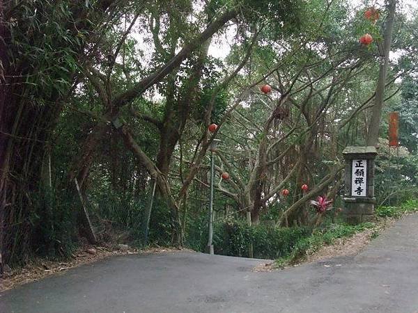 文間山 (93).JPG
