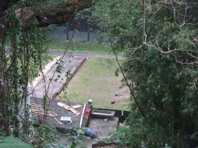 勿忘在莒步道 (14).JPG