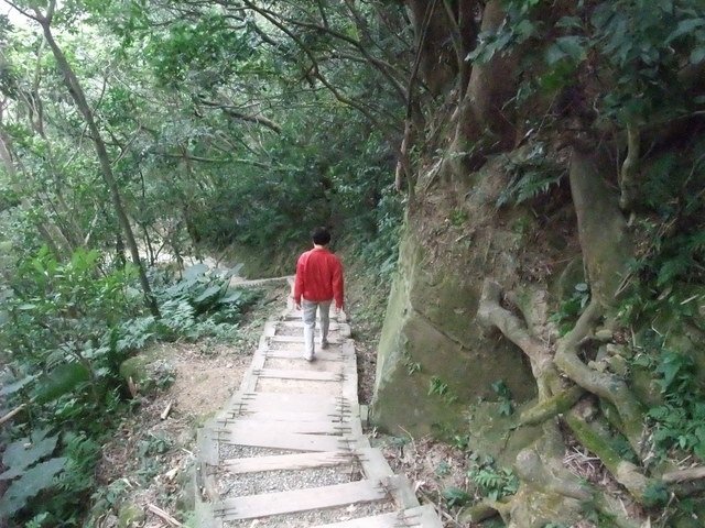 勿忘在莒步道 (70).JPG