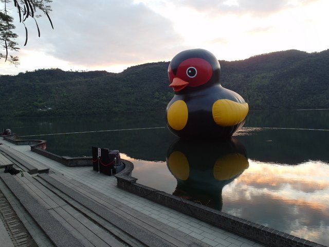 鯉魚山步道 (8).JPG