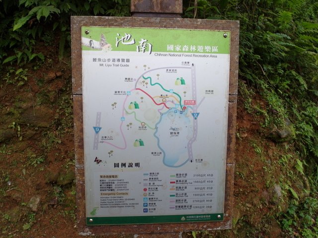 鯉魚山步道 (18).JPG