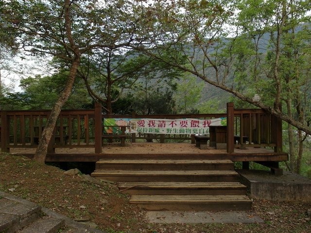 鯉魚山步道 (23).JPG