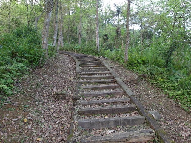 鯉魚山步道 (25).JPG