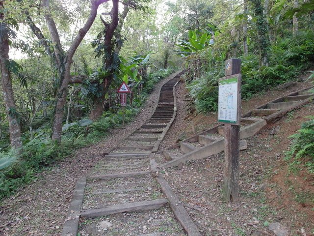 鯉魚山步道 (31).JPG