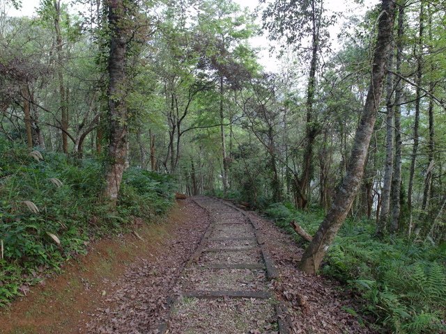 鯉魚山步道 (34).JPG