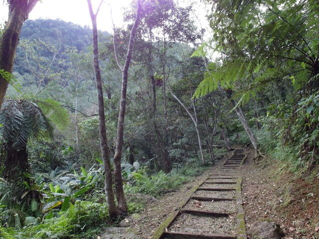 鯉魚山步道 (38).JPG