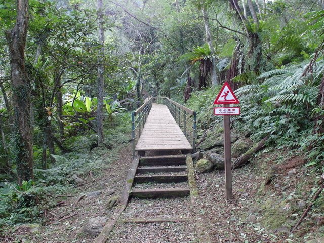 鯉魚山步道 (39).JPG