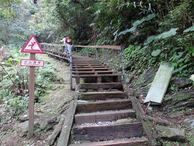 鯉魚山步道 (45).JPG