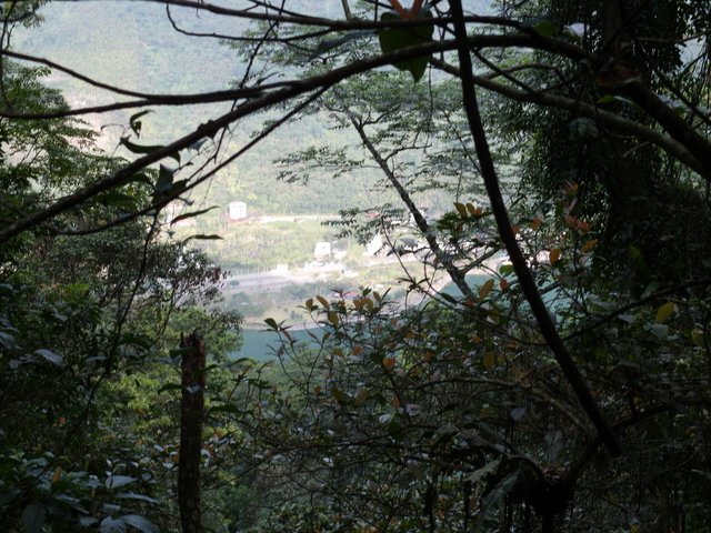 鯉魚山步道 (58).JPG