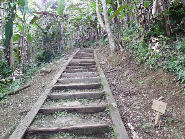 鯉魚山步道 (59).JPG