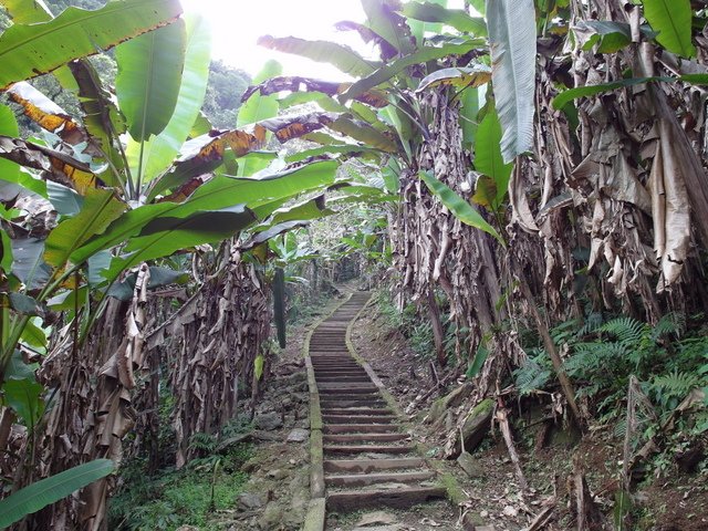 鯉魚山步道 (61).JPG