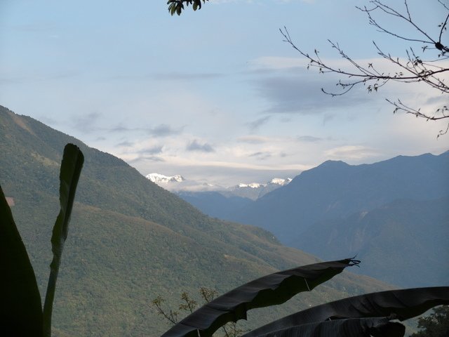 鯉魚山步道 (66).JPG