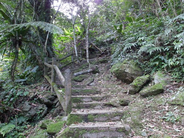 鯉魚山步道 (67).JPG