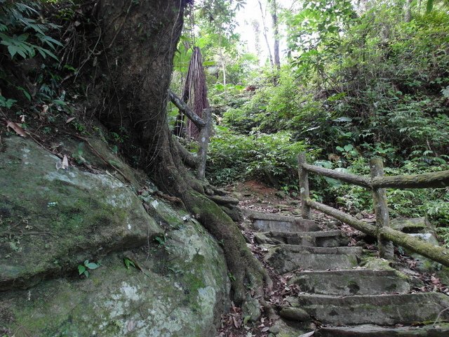 鯉魚山步道 (70).JPG