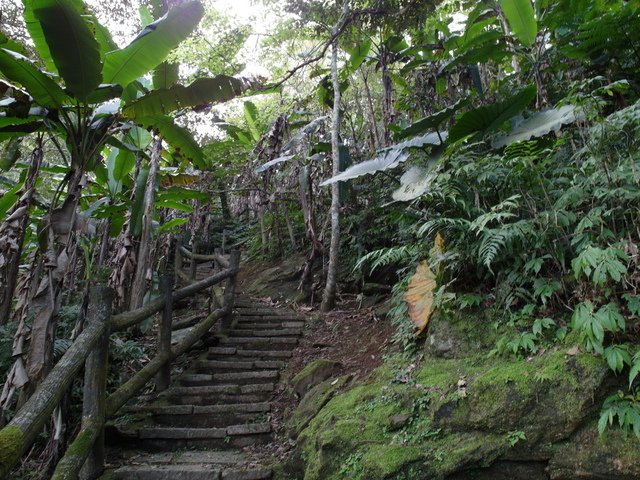 鯉魚山步道 (74).JPG