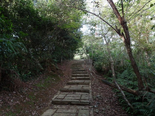 鯉魚山步道 (81).JPG