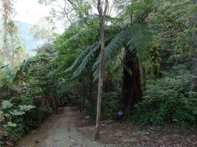 鯉魚山步道 (80).JPG