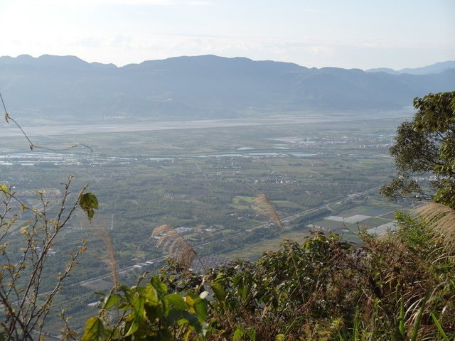 鯉魚山步道 (87).JPG