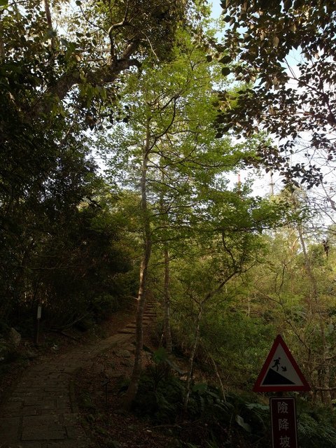 鯉魚山步道 (90).JPG