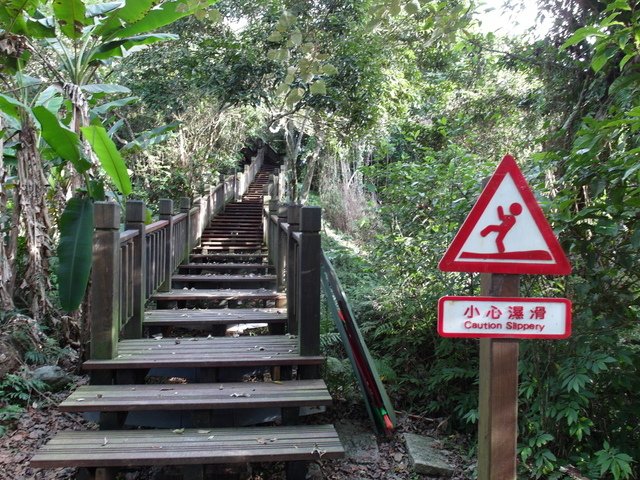 鯉魚山步道 (92).JPG