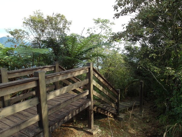 鯉魚山步道 (104).JPG