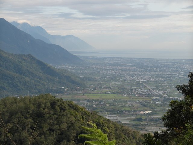 鯉魚山步道 (106).JPG